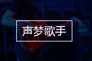 声梦歌手